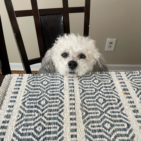 Like this! Live jewelry show notification! - Picture 8 of 12